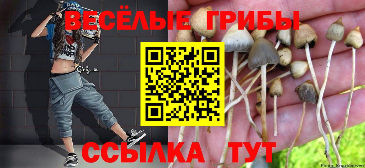 Галлюциногенные грибы мицелий Новочеркасск